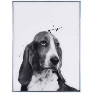 "Basset Hound" Black and White Dog Wall Art Reverse Printed Glass Encased with a Gunmetal Anodized Frame