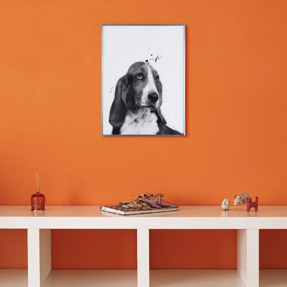 "Basset Hound" Black and White Dog Wall Art Reverse Printed Glass Encased with a Gunmetal Anodized Frame